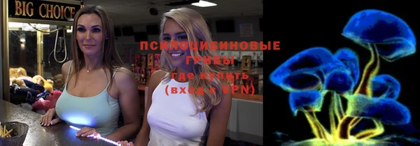 стафф Алексин