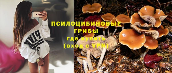 стафф Алексин