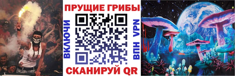 Галлюциногенные грибы Psilocybe  блэк спрут сайт  Миасс  закладка 