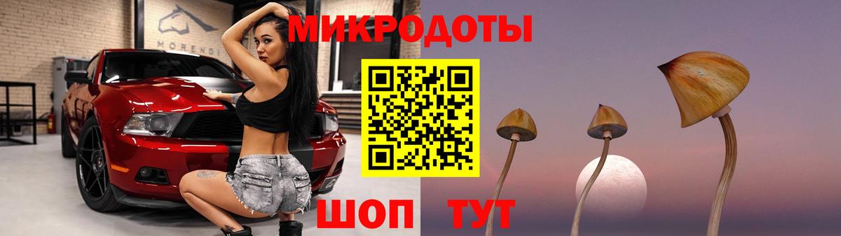 Миасс  Псилоцибиновые грибы Cubensis  Вход с VPN 